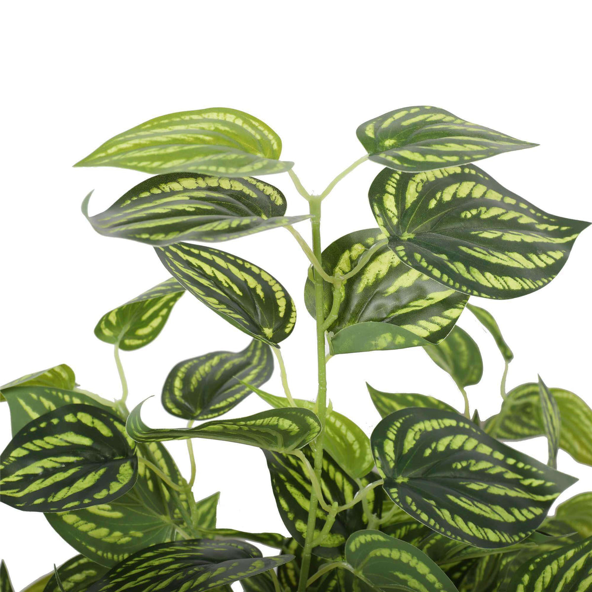 Bright Mixed Philodendron Plant 70cm - Designer Vertical Gardens artificial green wall sydney artificial vertical garden melbourne