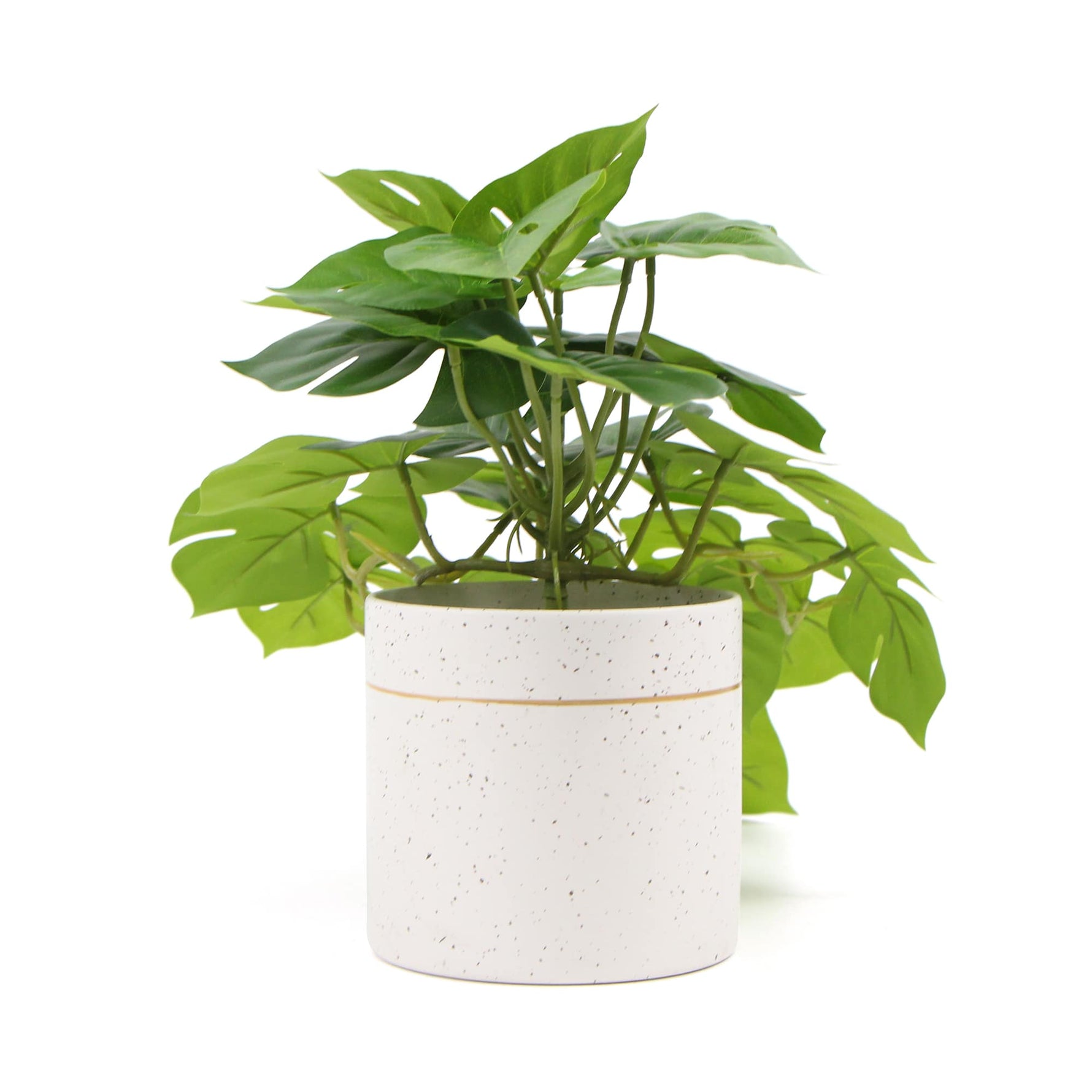 Decorative Ceramic Bowl Potted Artificial Monstera Plant 30cm - Designer Vertical Gardens Artificial Shrubs and Small plants