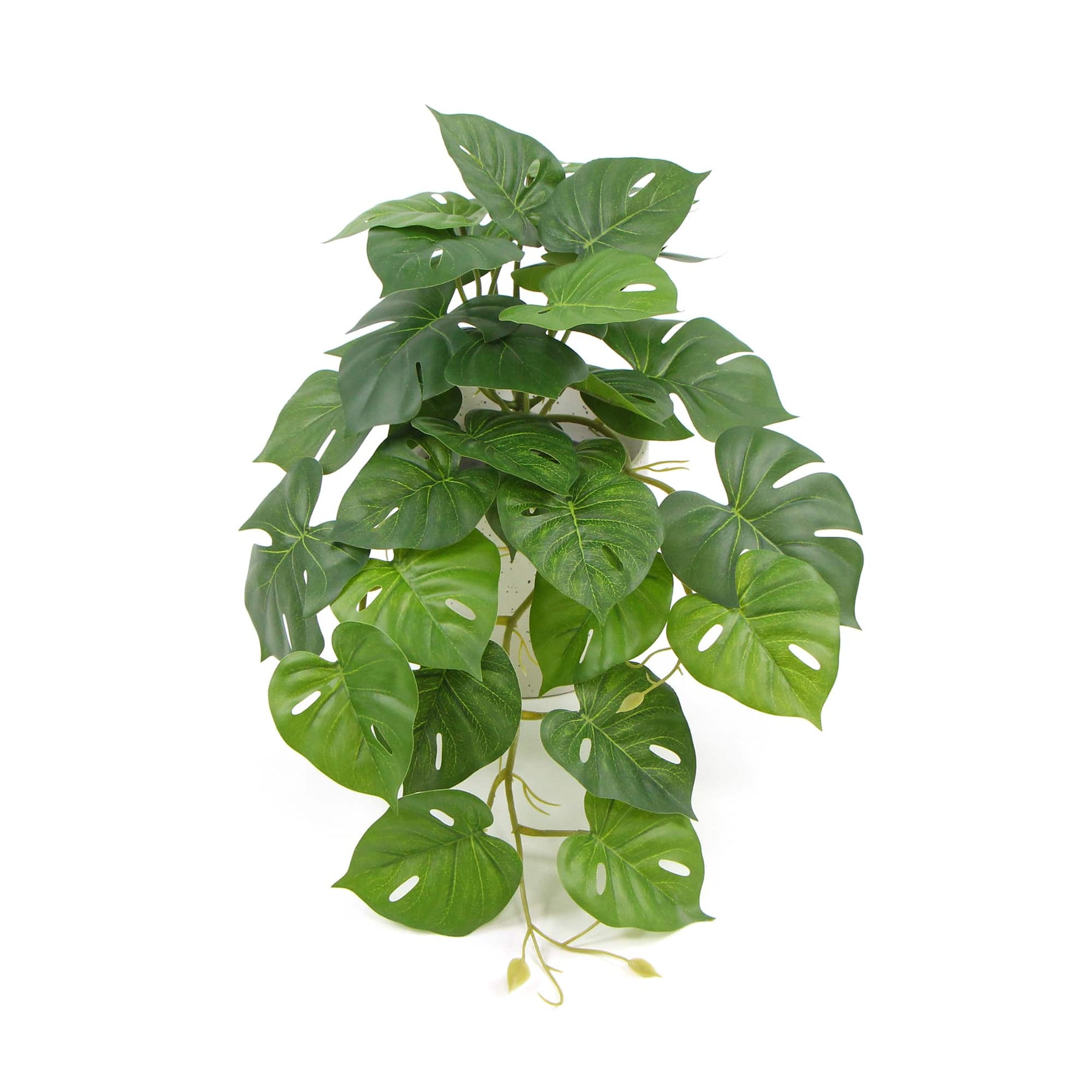 Decorative Ceramic Bowl Potted Artificial Monstera Plant 30cm - Designer Vertical Gardens Artificial Shrubs and Small plants