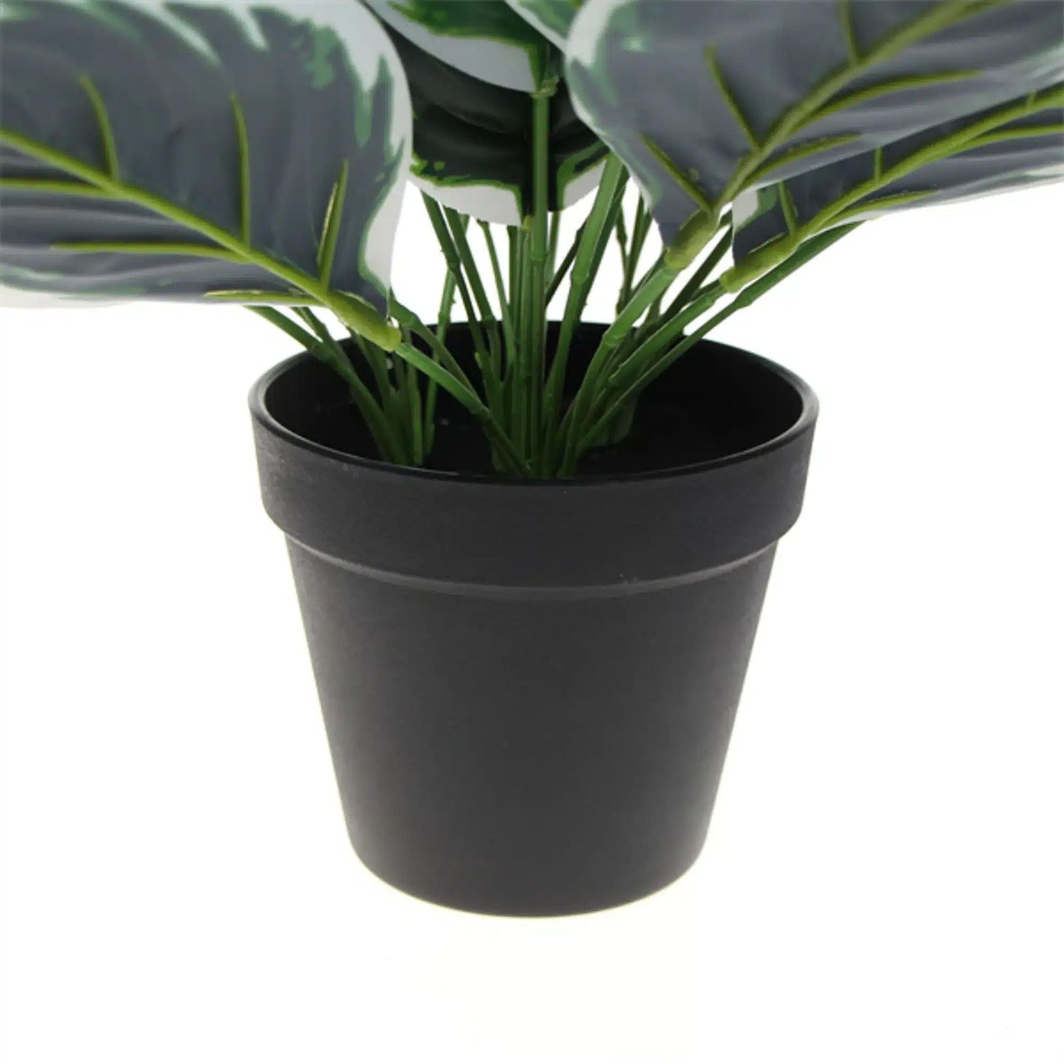 Dense Potted Artificial Calathea Plant 35cm - Designer Vertical Gardens Artificial Shrubs and Small plants Office and House plants