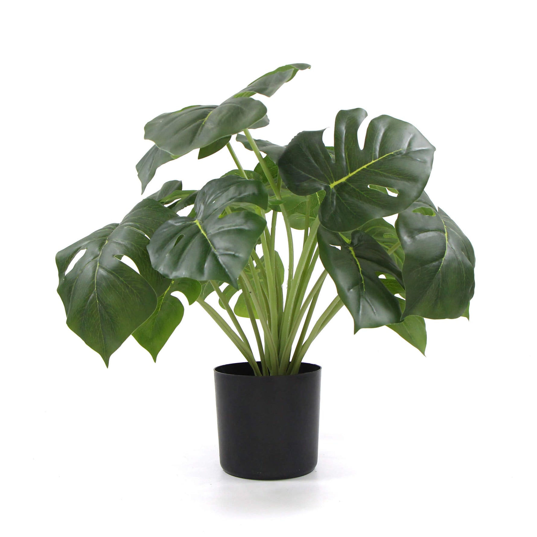 Dense Potted Artificial Split Philodendron Plant With Real Touch Leaves 50cm - Designer Vertical Gardens Artificial Shrubs and Small plants