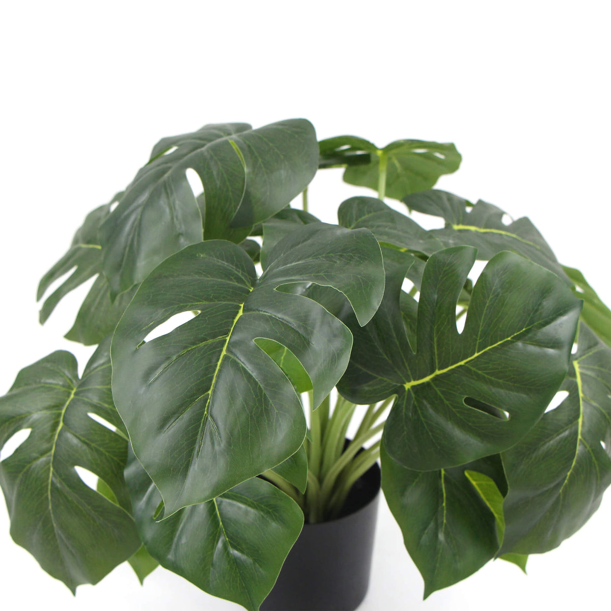 Dense Potted Artificial Split Philodendron Plant With Real Touch Leaves 50cm - Designer Vertical Gardens Artificial Shrubs and Small plants