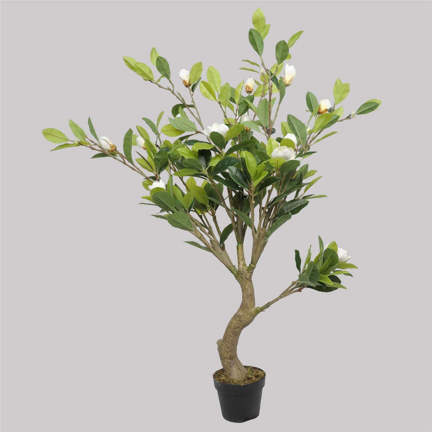 Faux Potted Magnolia Tree with Stunning White Flowers 130cm - Designer Vertical Gardens artificial vertical garden plants flowering