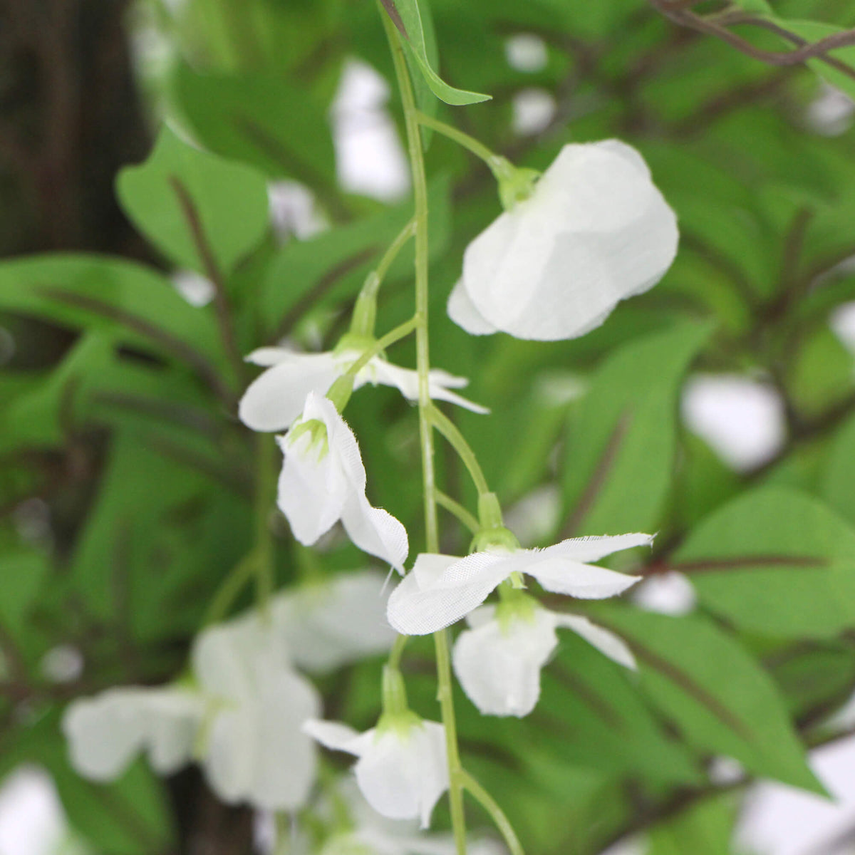 Flowering Artificial Wisteria With White Flowers 180cm - Designer Vertical Gardens Artificial tree Artificial Trees for Balconies