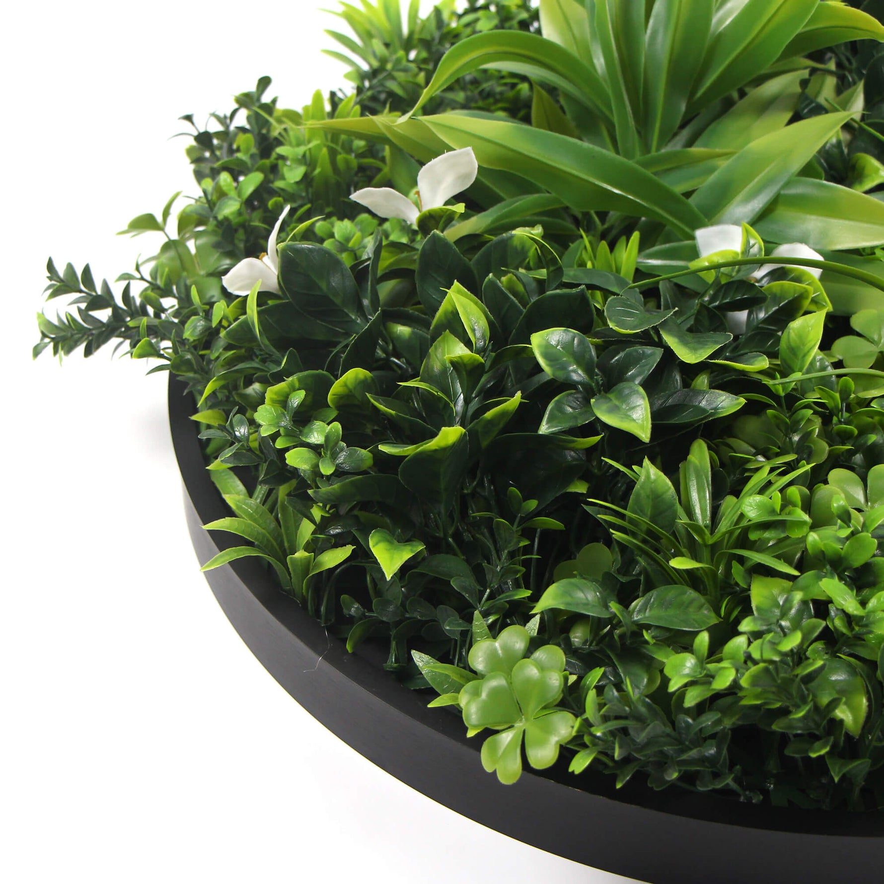 Flowering White Artificial Green Wall Disc UV Resistant 100cm (Black Frame) - Designer Vertical Gardens Artificial vertical garden wall disc