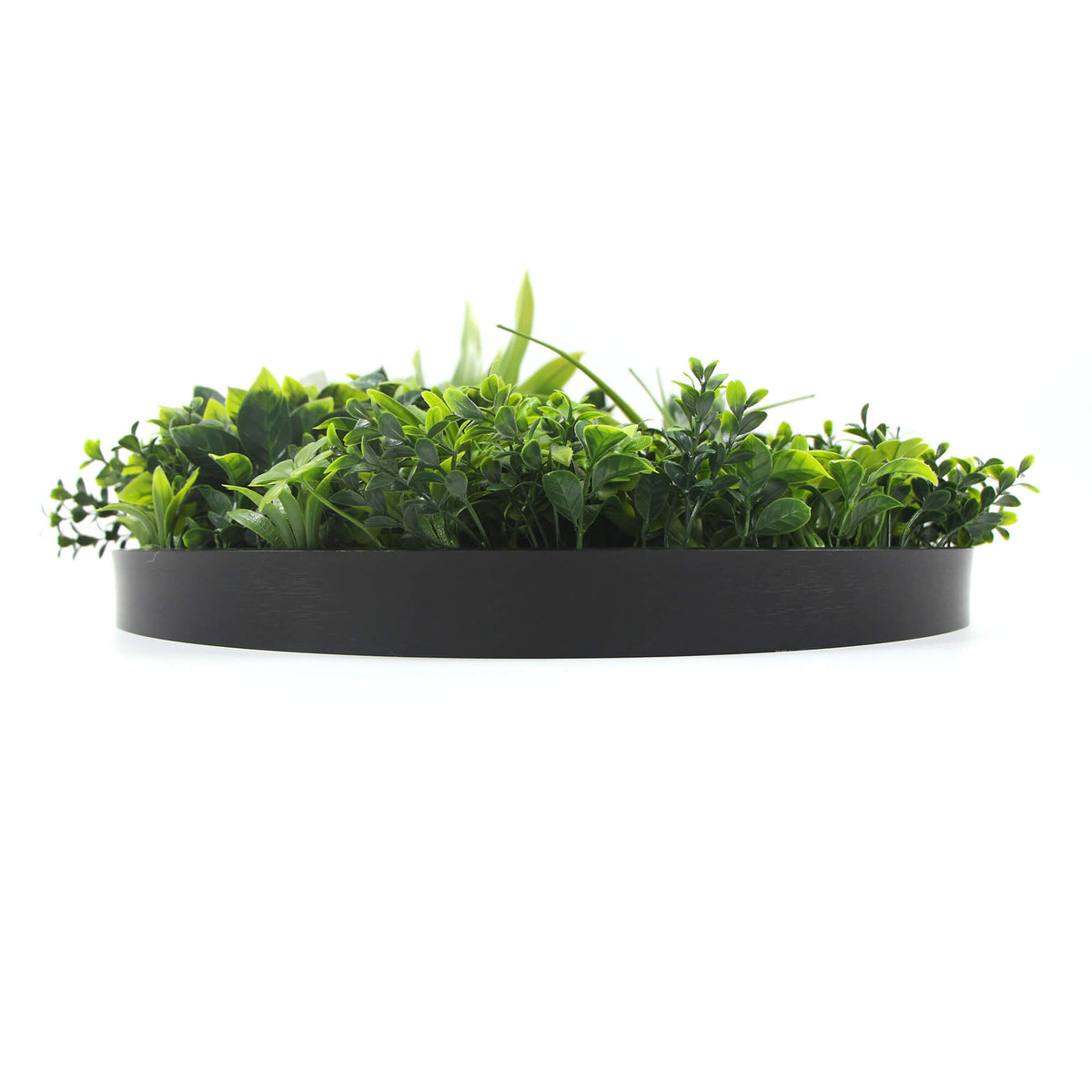 Flowering White Artificial Green Wall Disc UV Resistant 100cm (Black Frame) - Designer Vertical Gardens Artificial vertical garden wall disc