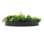 Flowering White Artificial Green Wall Disc UV Resistant 100cm (Black Frame) - Designer Vertical Gardens Artificial vertical garden wall disc