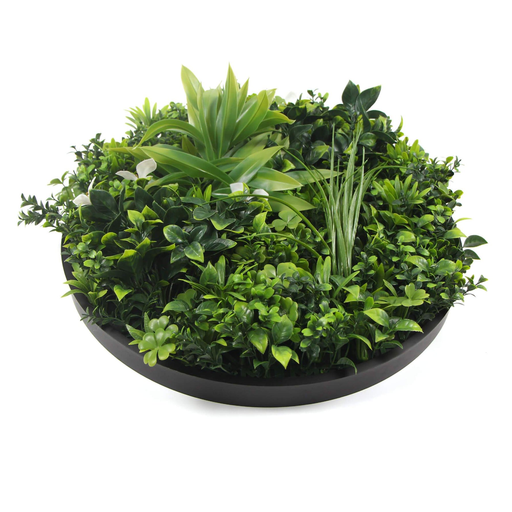 Flowering White Artificial Green Wall Disc UV Resistant 50cm (Black Frame) - Designer Vertical Gardens artificial garden wall plants artificial green wall australia