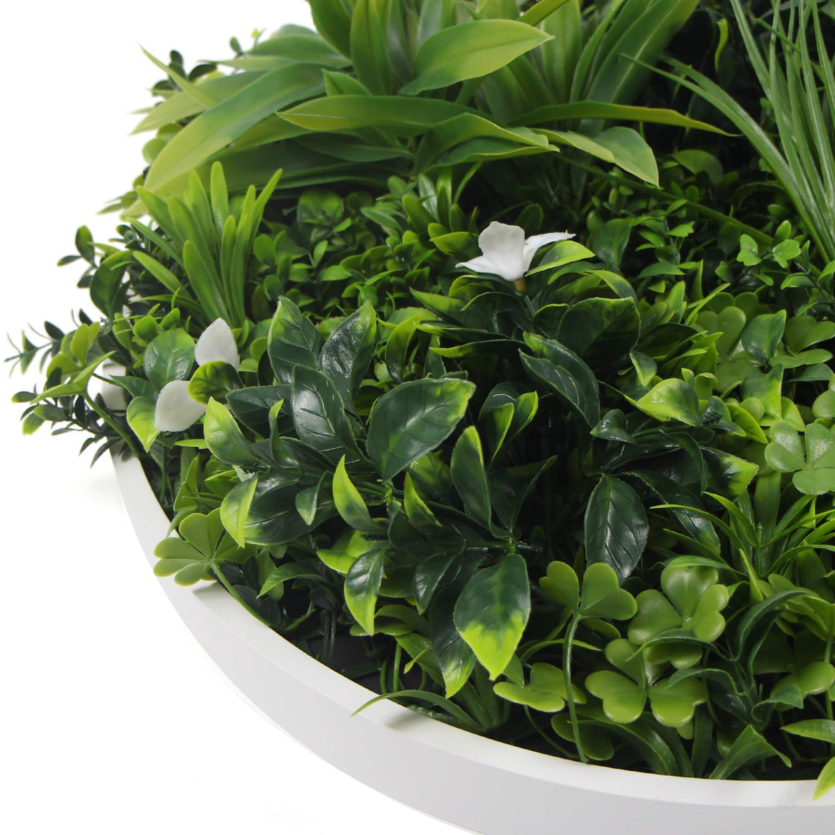 Flowering White Artificial Green Wall Disc UV Resistant 50cm (White Frame) - Designer Vertical Gardens artificial garden wall plants artificial green wall sydney