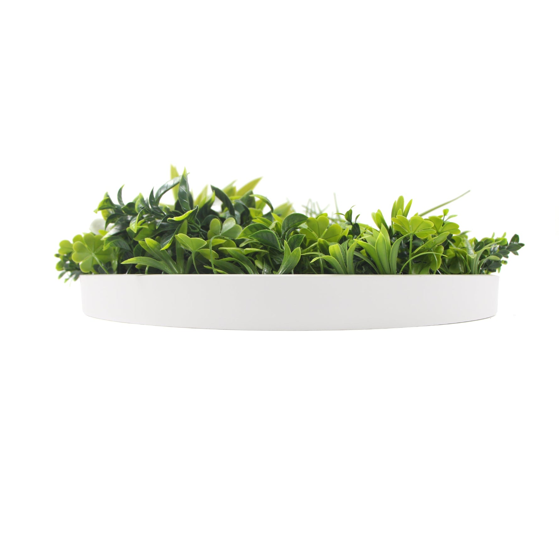 Flowering White Artificial Green Wall Disc UV Resistant 75cm (White Frame) - Designer Vertical Gardens Artificial vertical garden wall disc