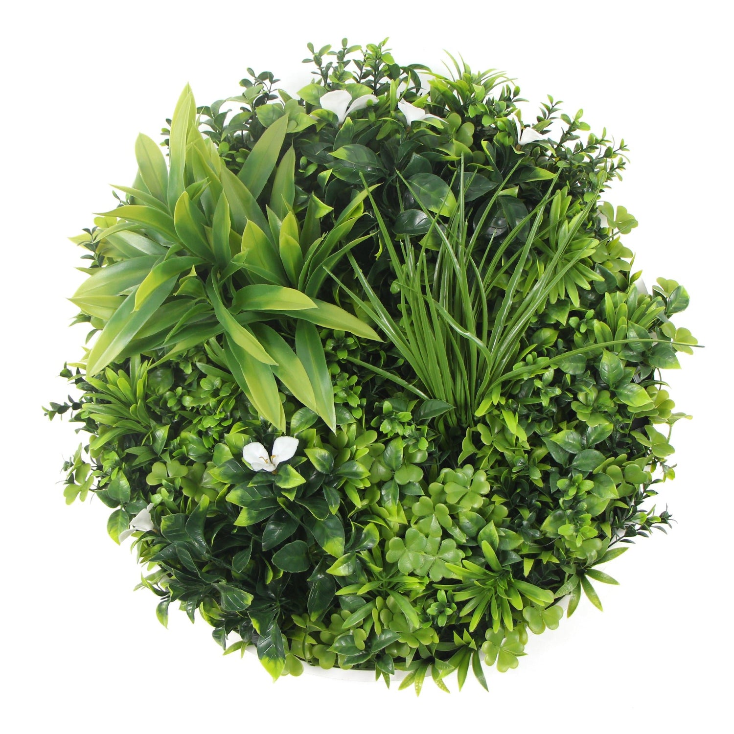 Flowering White Artificial Green Wall Disc UV Resistant 75cm (White Frame) - Designer Vertical Gardens Artificial vertical garden wall disc