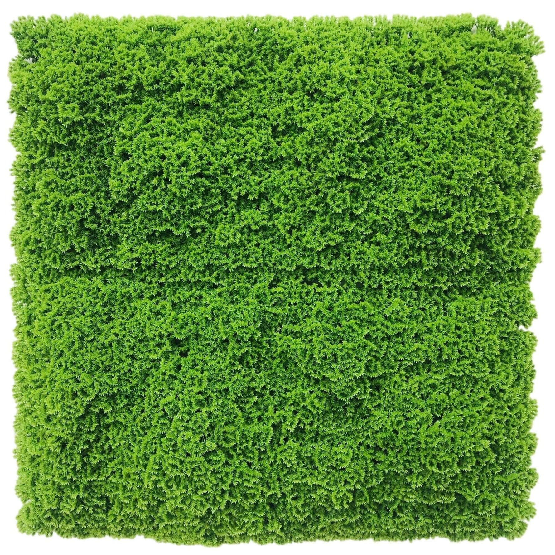 Fresh Natural Green Artificial Moss Vertical Garden / Green Wall UV Resistant 1m x 1m - Designer Vertical Gardens artificial garden wall plants artificial green wall australia