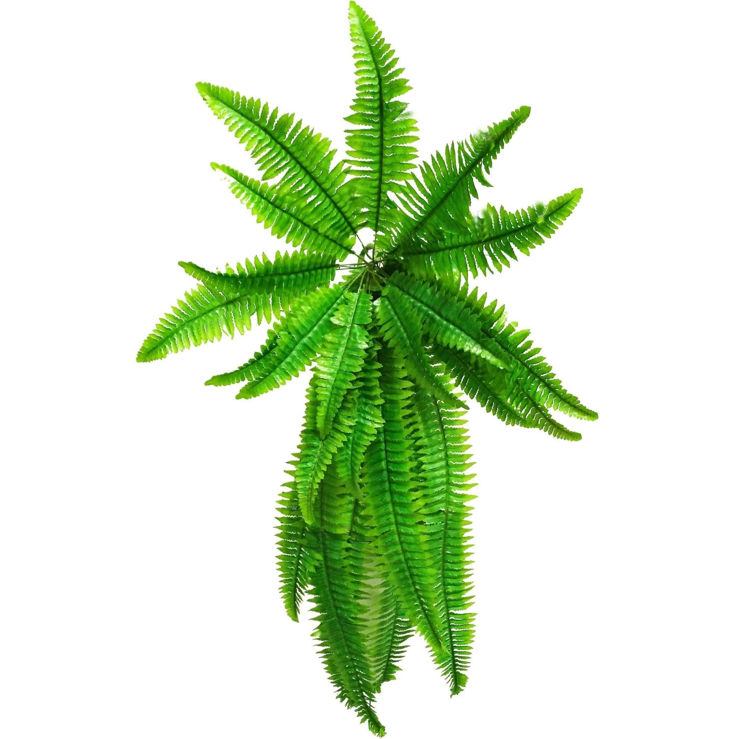 Hanging Artificial Boston Fern - 100cm - Designer Vertical Gardens boston fern