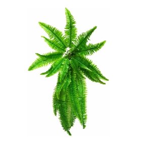 Hanging Artificial Boston Fern - 100cm - Designer Vertical Gardens boston fern