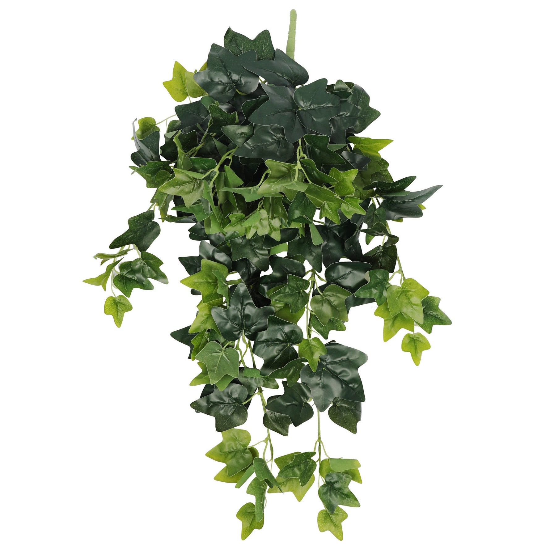 Hanging Green Ivy Bush - 80cm - Designer Vertical Gardens artificial green wall sydney artificial vertical garden melbourne