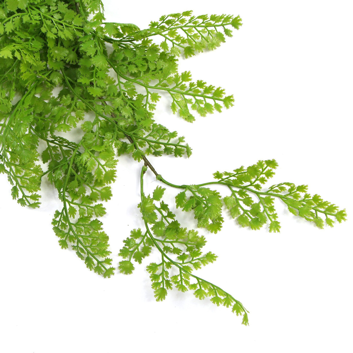 Hanging Native Green Dense Maiden Hair Fern Bush UV Resistant 80cm - Designer Vertical Gardens artificial vertical garden wall hanging fern