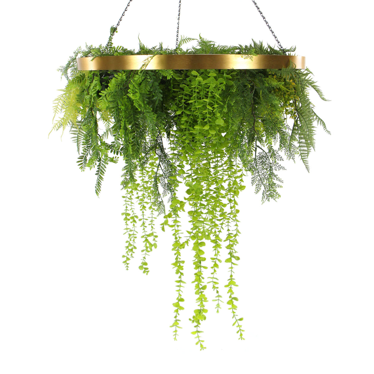 Imitation Gold Artificial Hanging Green Wall Disc 80cm (Limited Edition) UV Resistant Foliage - Designer Vertical Gardens hanging fern hanging garland