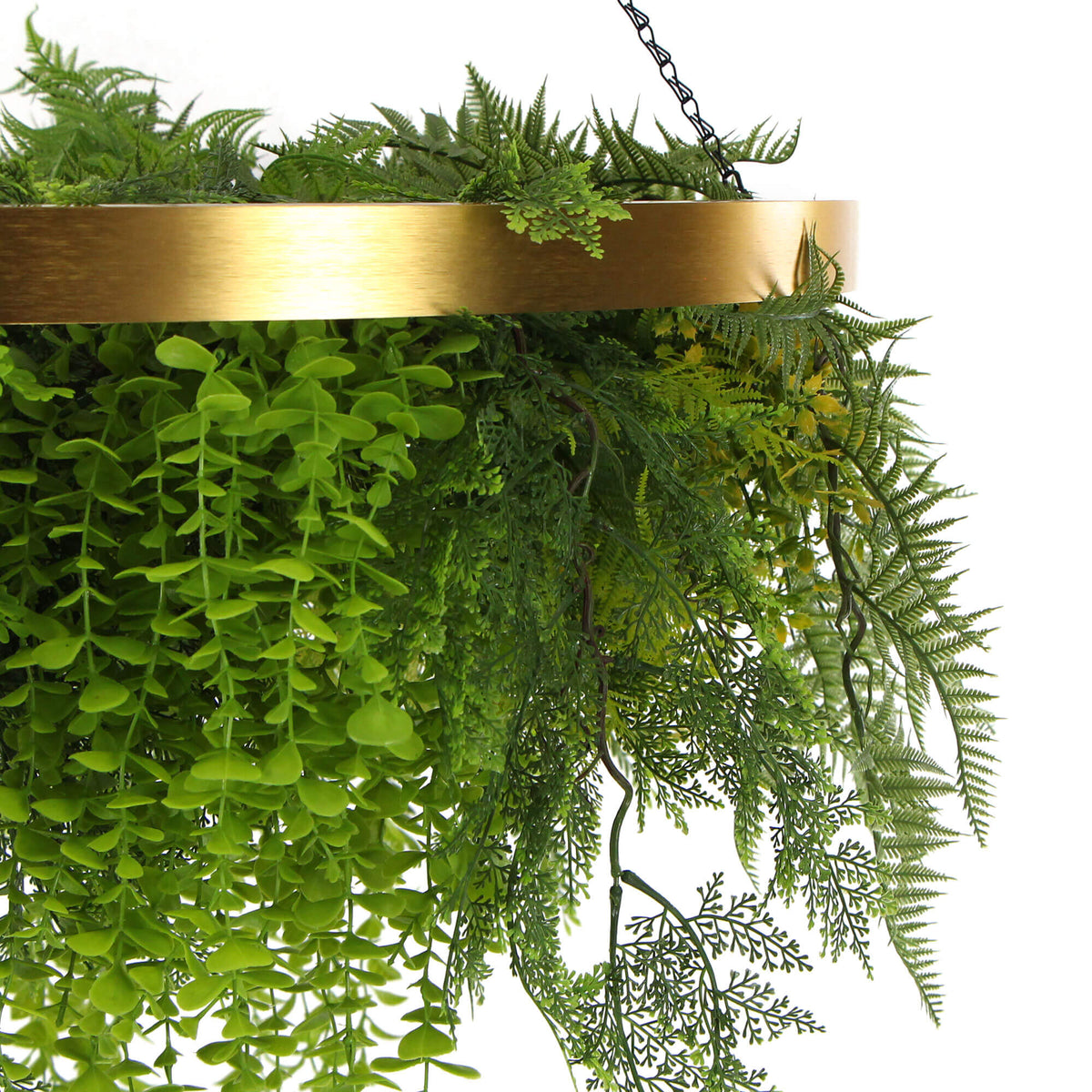 Imitation Gold Artificial Hanging Green Wall Disc 80cm (Limited Edition) UV Resistant Foliage - Designer Vertical Gardens hanging fern hanging garland