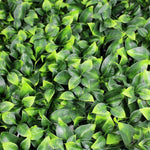 Jasmine Artificial Hedge Screen / Green Wall Panel UV Resistant 100cm x 100cm UV Resistant - Designer Vertical Gardens artificial garden wall plants artificial green wall australia