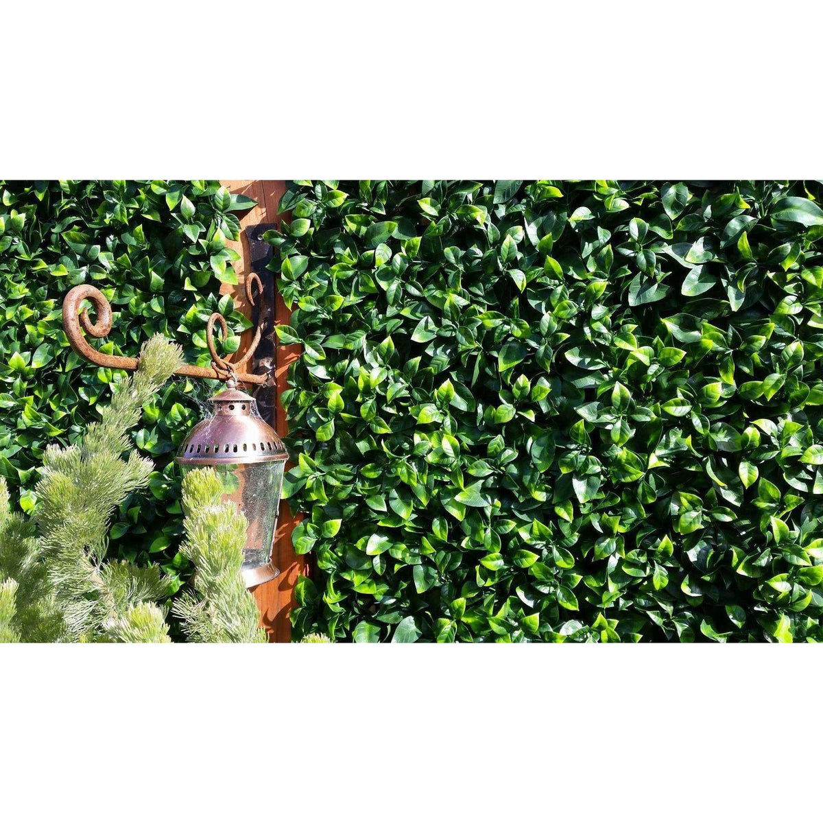 Jasmine Artificial Hedge Screen / Green Wall Panel UV Resistant 100cm x 100cm UV Resistant - Designer Vertical Gardens artificial garden wall plants artificial green wall australia