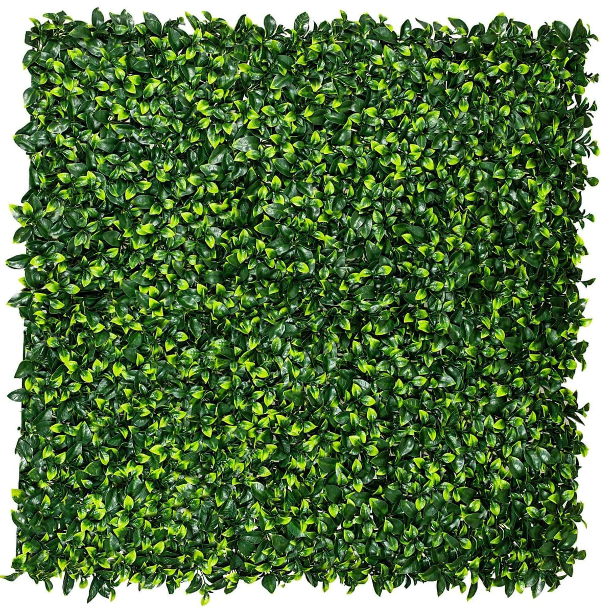 Jasmine Artificial Hedge Screen / Green Wall Panel UV Resistant 100cm x 100cm UV Resistant - Designer Vertical Gardens artificial garden wall plants artificial green wall australia