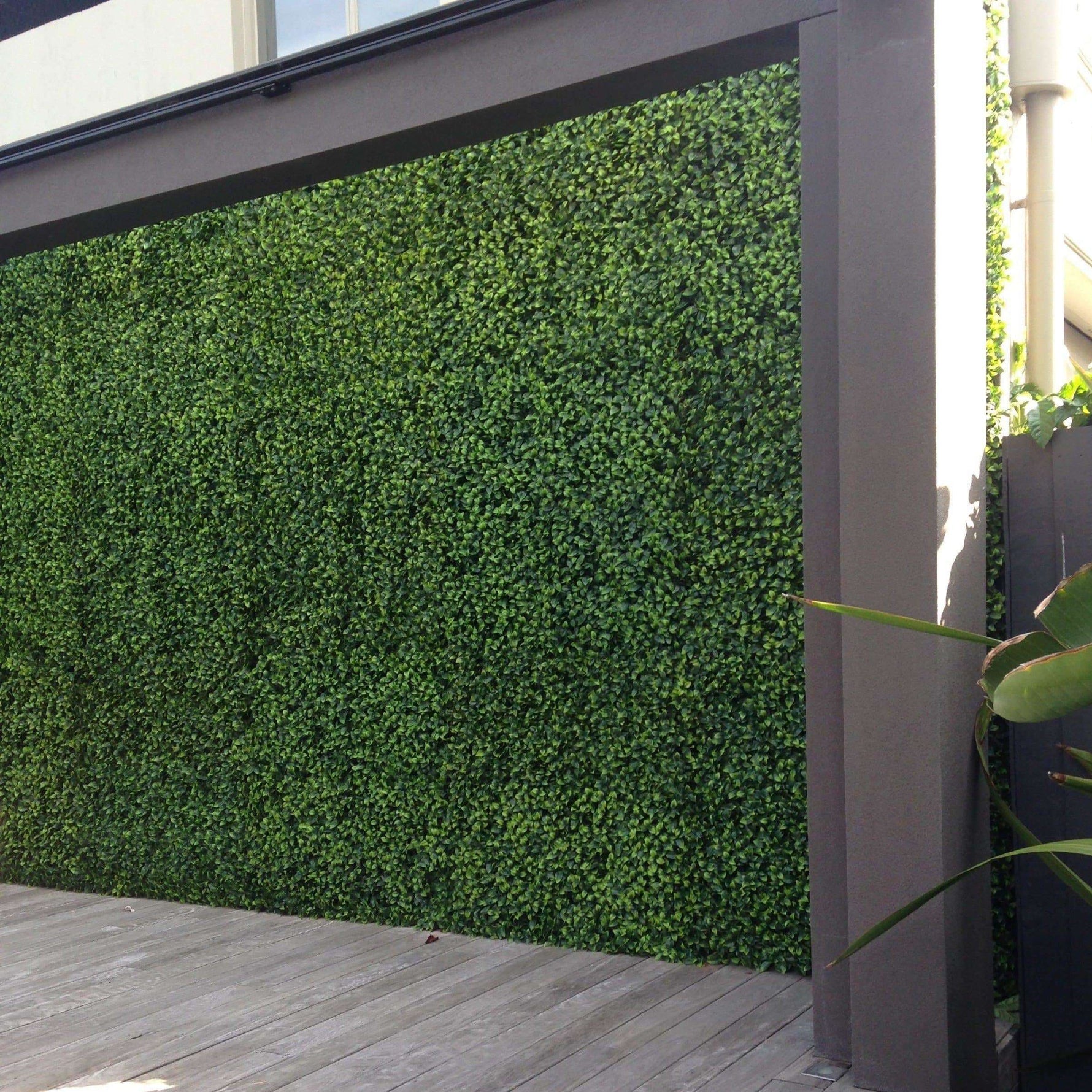 Jasmine Artificial Hedge Screen / Green Wall Panel UV Resistant 100cm x 100cm UV Resistant - Designer Vertical Gardens artificial garden wall plants artificial green wall australia