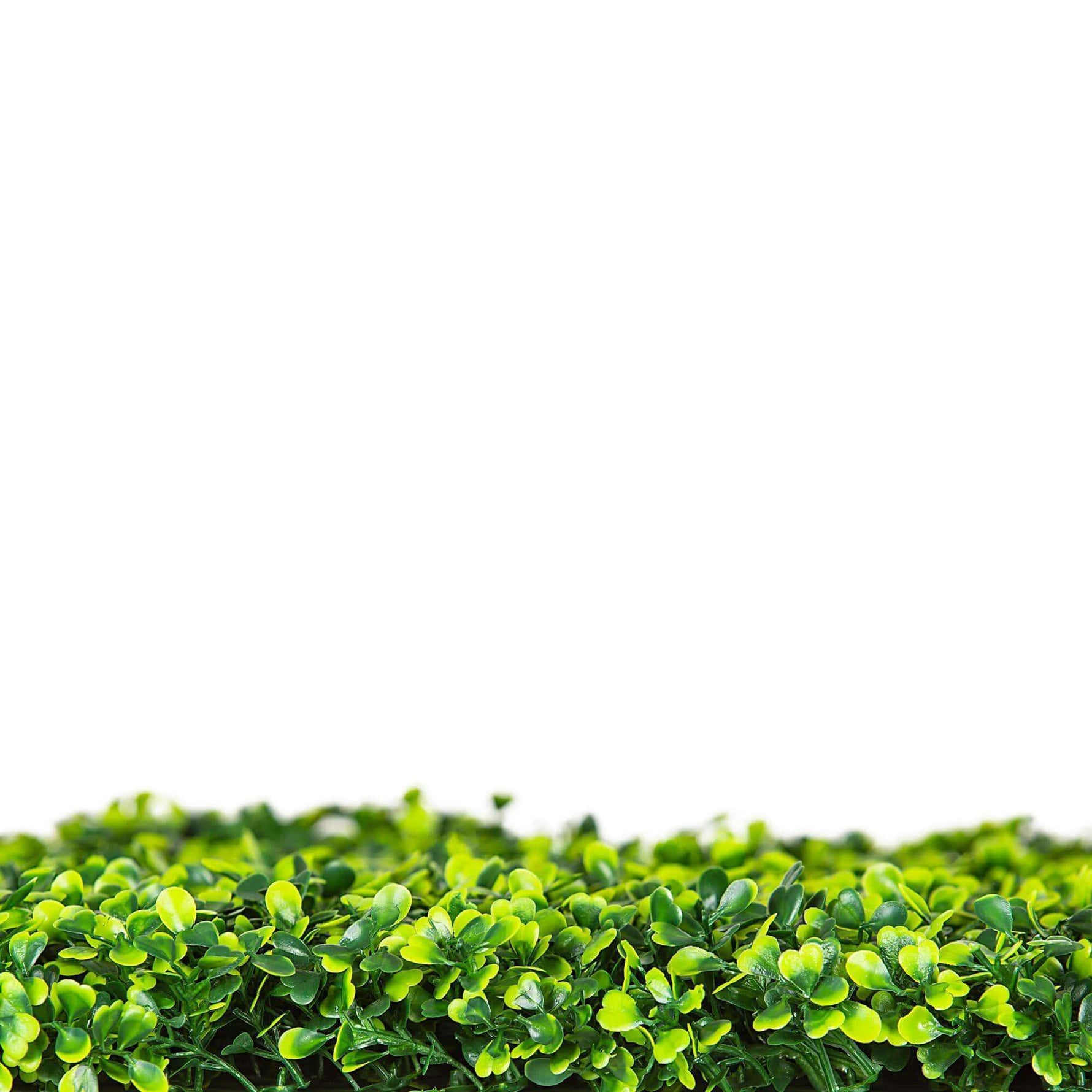 Light English Artificial Boxwood Hedge Panel / Fake Green Wall 1m x 1m UV Resistant - Designer Vertical Gardens artificial garden wall plants artificial green wall australia