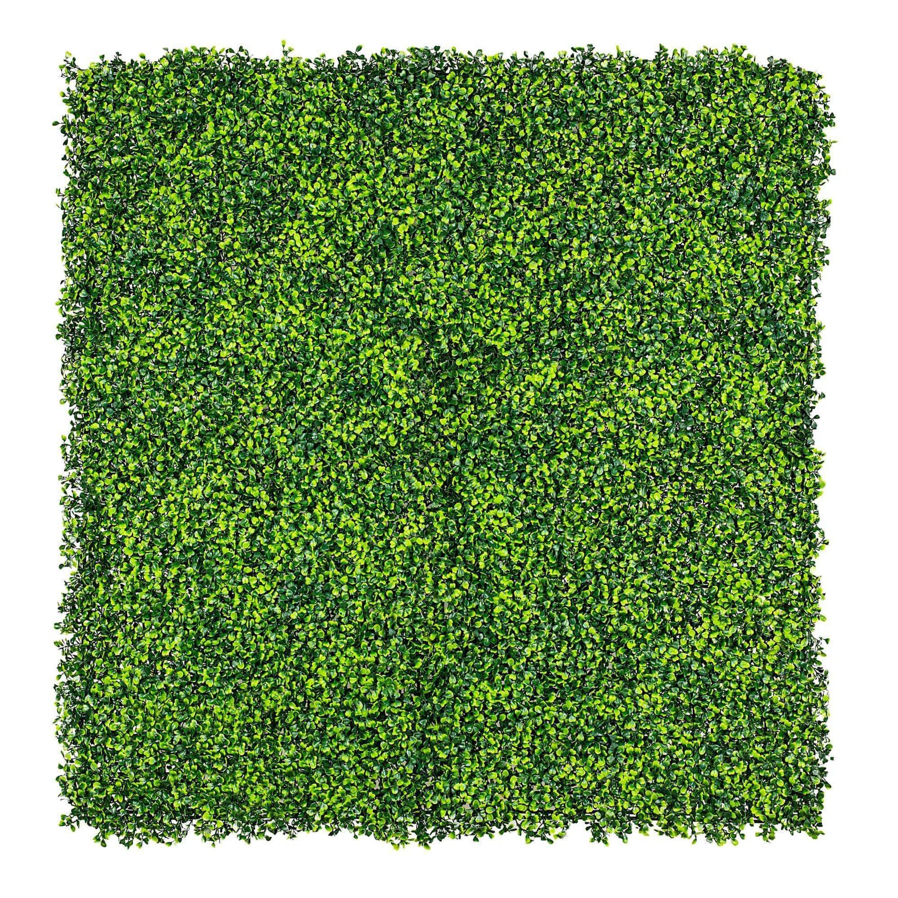 Light English Artificial Boxwood Hedge Panel / Fake Green Wall 1m x 1m UV Resistant - Designer Vertical Gardens artificial garden wall plants artificial green wall australia