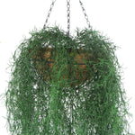 Long Hanging Artificial Spanish Moss Basket 135cm UV Resistant - Designer Vertical Gardens hanging fern hanging plants