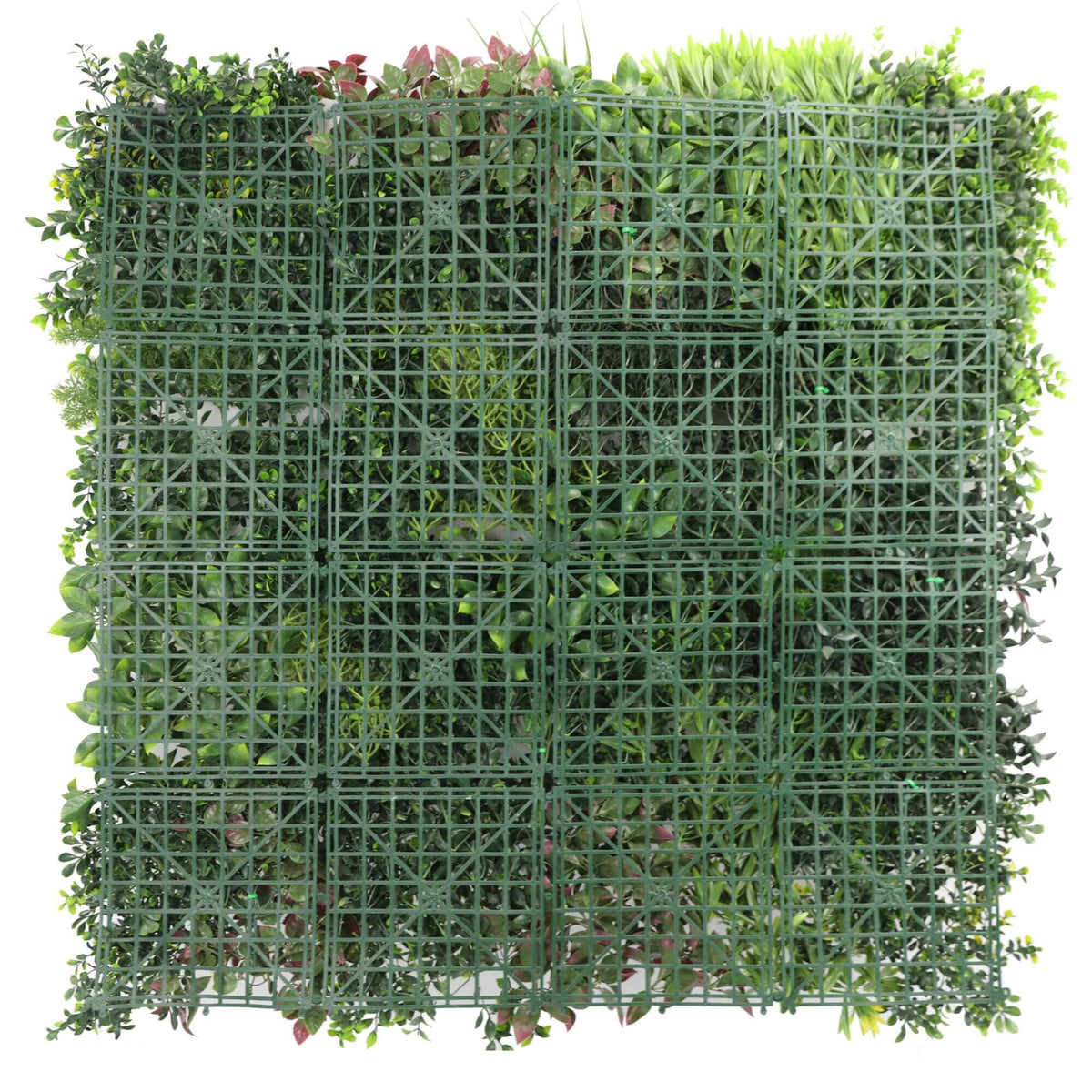 Luxury Evergreen Rainforest Recycled Vertical Garden / Green Wall UV Resistant 1m X 1m - Designer Vertical Gardens artificial garden wall plants artificial green wall australia