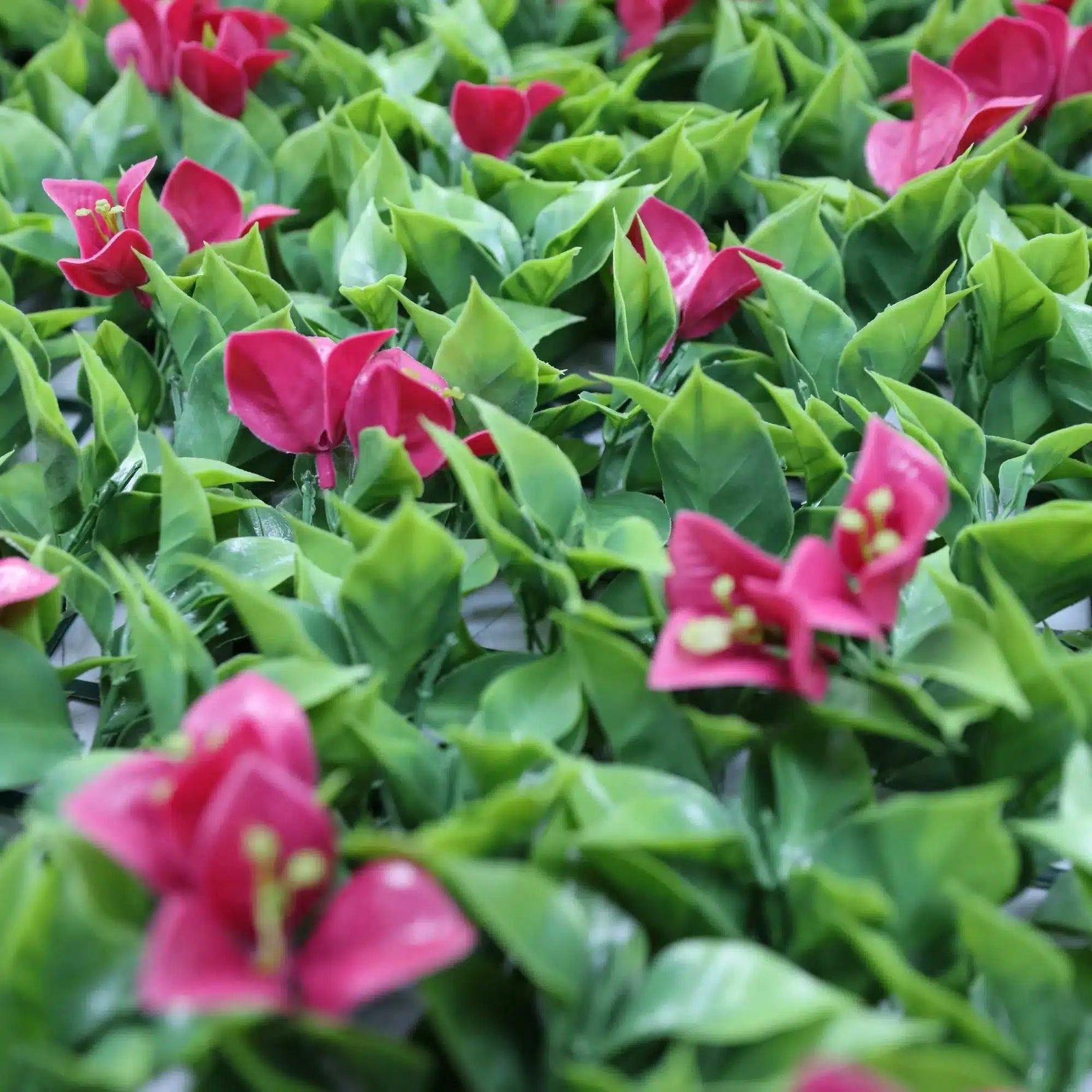 Luxury Flowering Pink Vertical Garden / Green Wall UV Resistant 1m X 1m - Designer Vertical Gardens artificial vertical garden melbourne artificial vertical garden wall