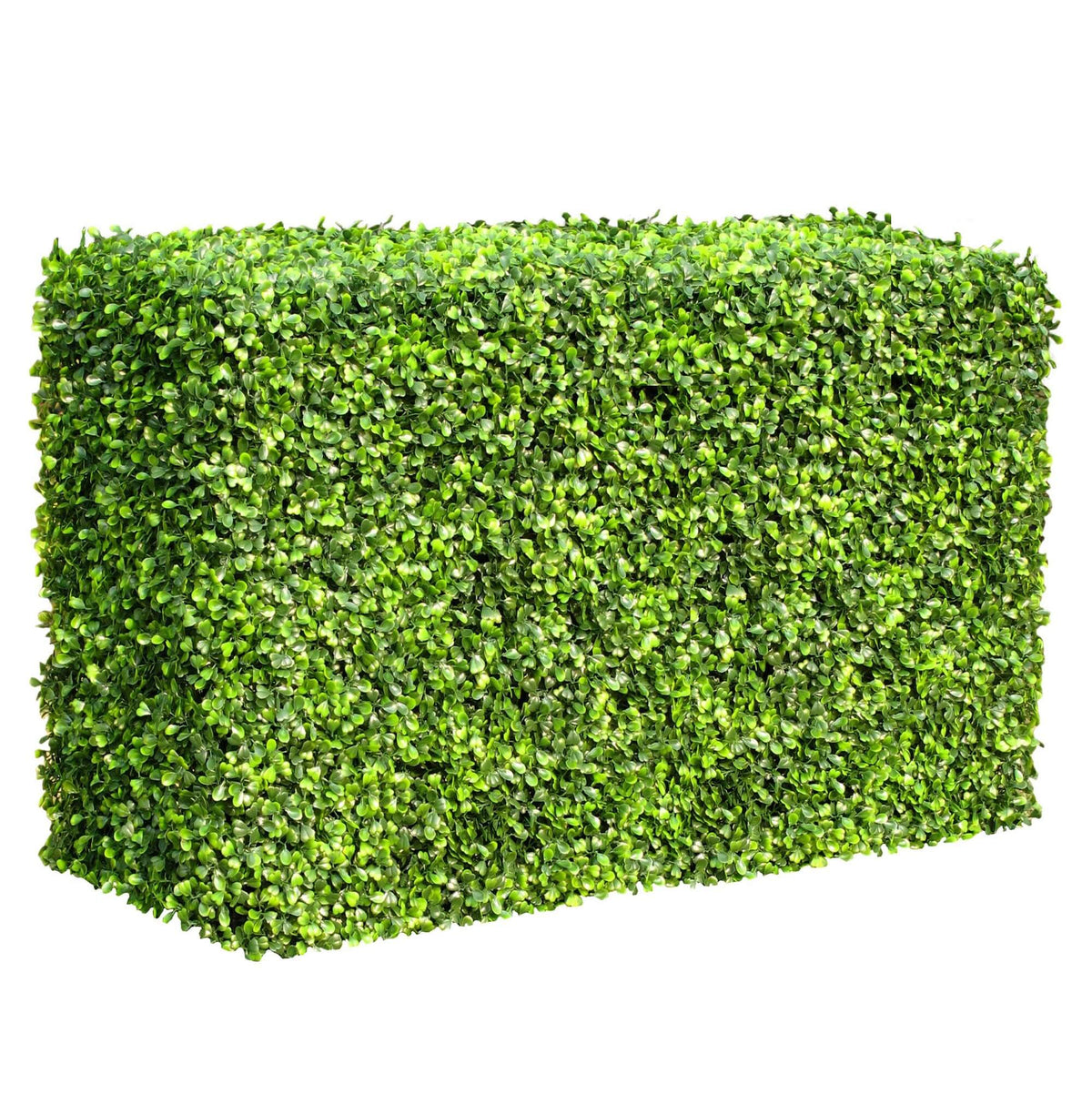 Mixed English Boxwood Artificial Hedge UV Resistant 1m long x 50cm - Designer Vertical Gardens artificial garden wall plants artificial green wall australia