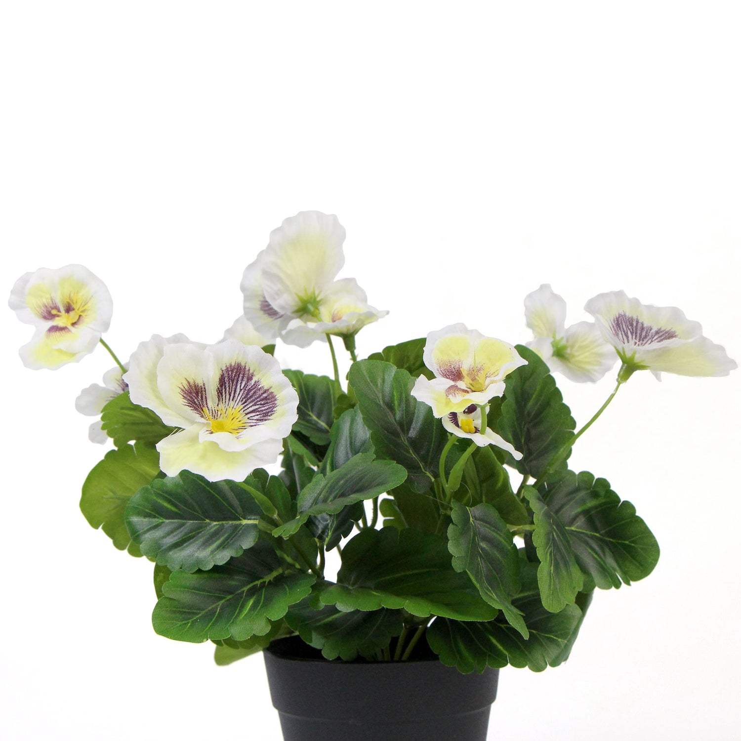 Mixed White Flowering Potted Artificial Pansy Plants 25cm - Designer Vertical Gardens Artificial Shrubs and Small plants Flowering plants