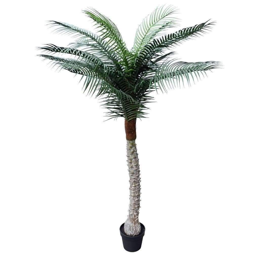 Outdoor Artificial Palm Tree Tropical Phoenix Palm 170cm UV Resistant - Designer Vertical Gardens Artificial Trees Bamboos and Palm