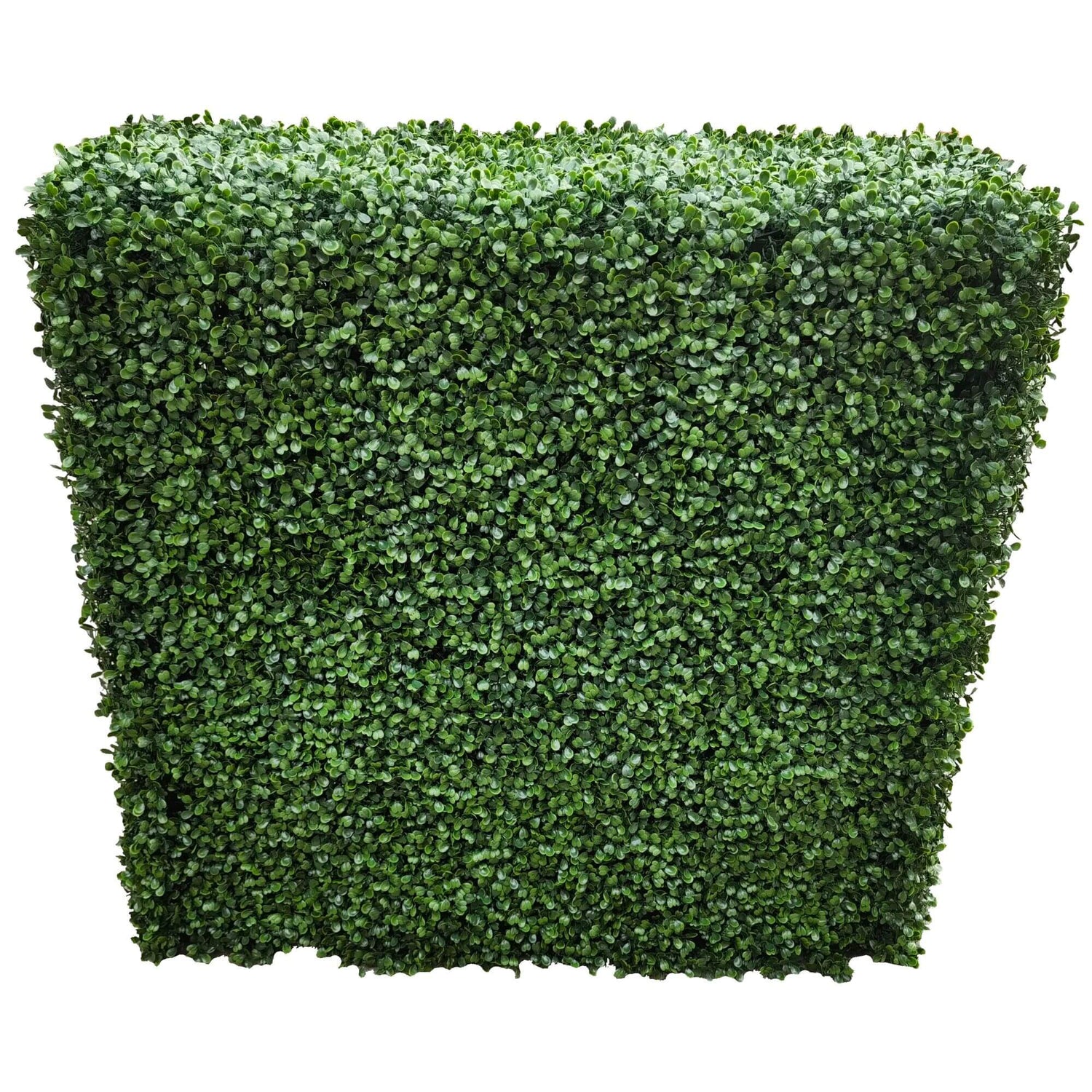 Portable Boxwood Hedge UV Resistant 100cm Long X 100cm High - Designer Vertical Gardens artificial hedge fence panels Artificial hedge panels