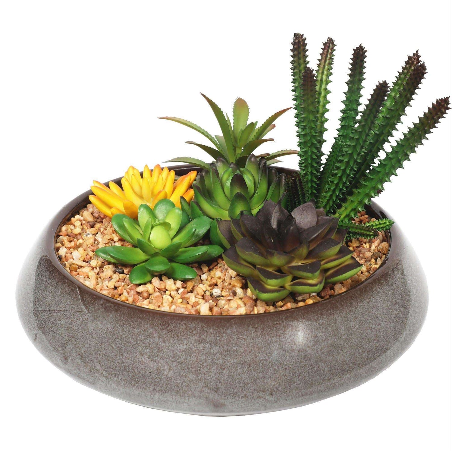 Potted Artificial Succulents with Round Decorative Bowl 19cm - Designer Vertical Gardens artificial vertical garden plants flowering