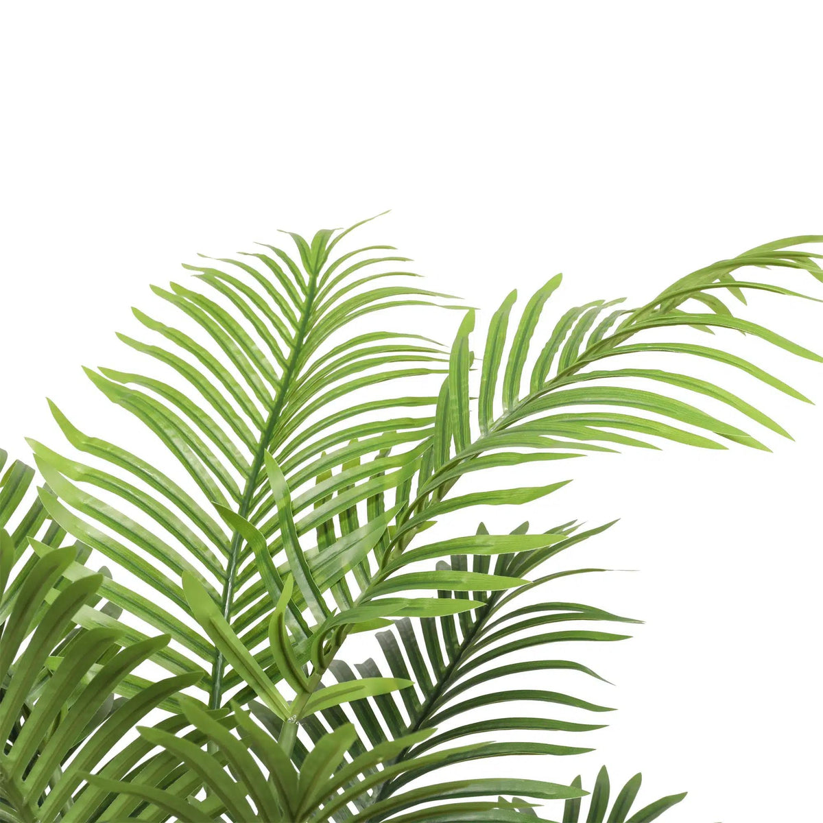 Potted Bushy Artificial Areca Palm Tree 120cm - Designer Vertical Gardens Articial Trees Artificial Trees