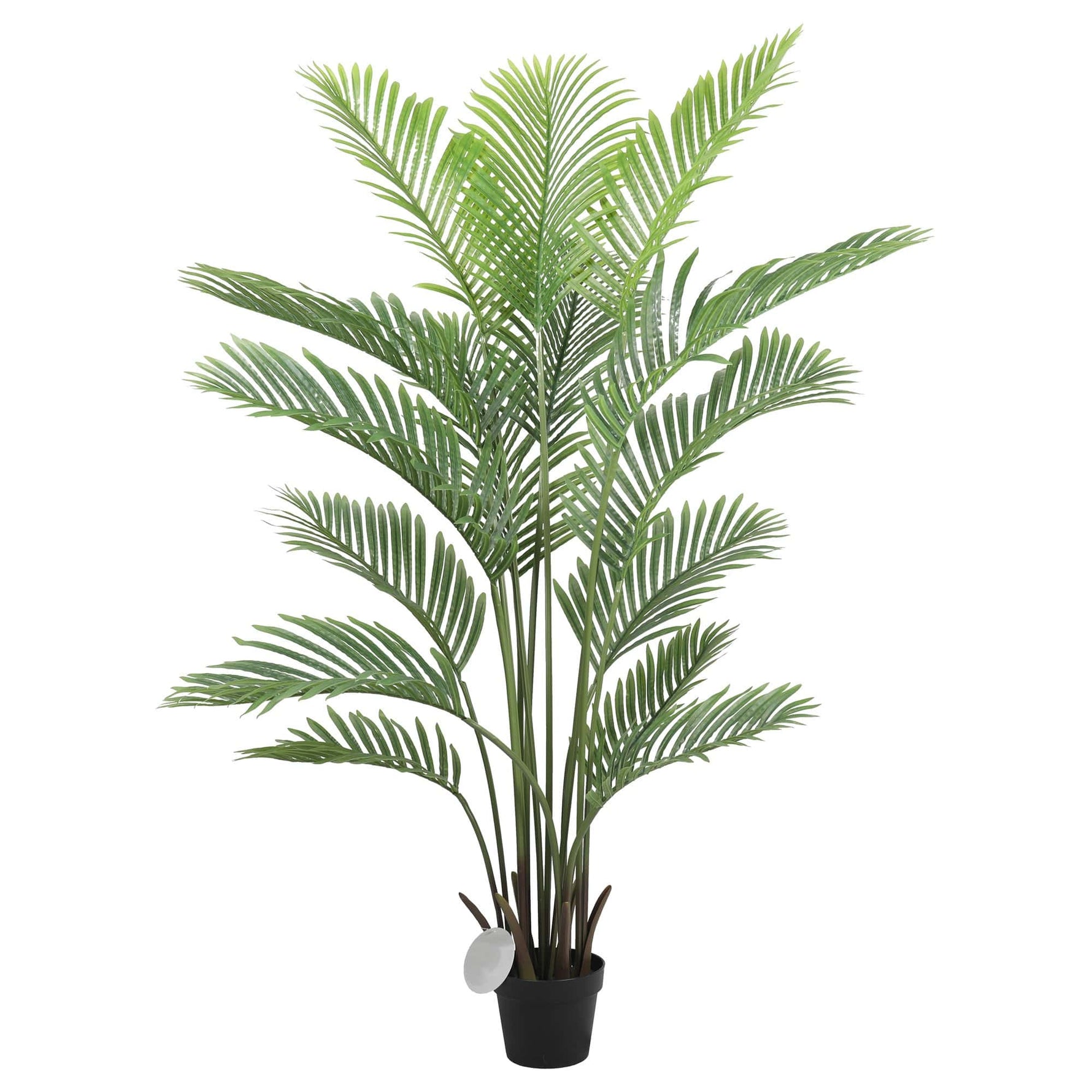 Premium Artificial Areca Palm Tree Real Touch 160cm - Designer Vertical Gardens Bamboos and Palm indoor artificial wall garden