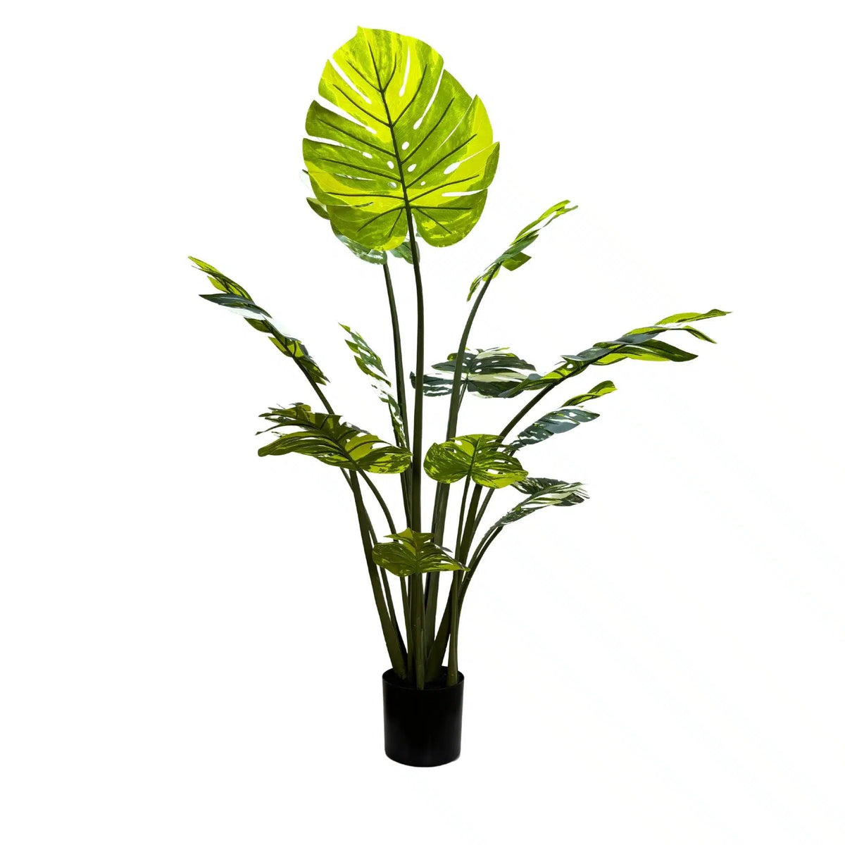 Premium Artificial Potted Monstera Albo 150cm - Designer Vertical Gardens Artificial Shrubs and Small plants