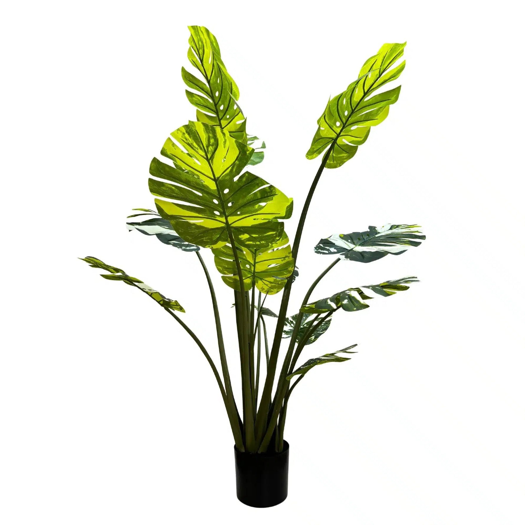 Premium Artificial Potted Monstera Albo 150cm - Designer Vertical Gardens Artificial Shrubs and Small plants