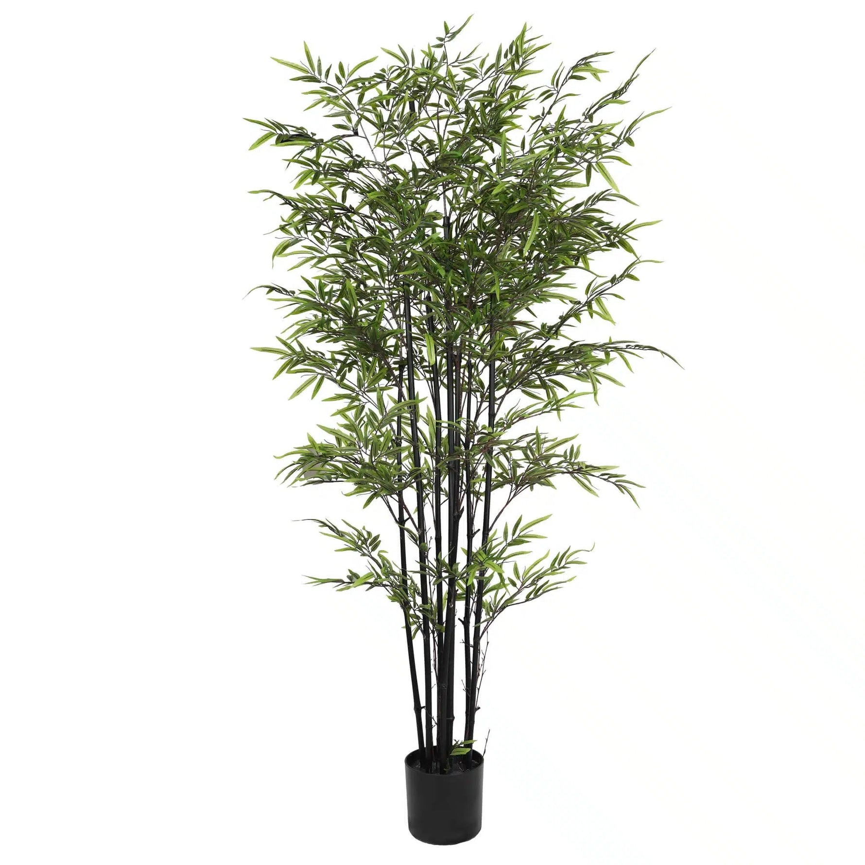 Premium Dense Artificial Black Bamboo 180cm - Designer Vertical Gardens Artificial tree Artificial Trees