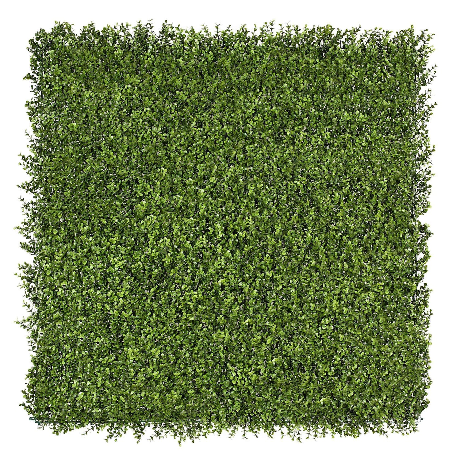 Premium Natural Buxus Artificial Hedge Panel 1m x 1m UV Resistant - Designer Vertical Gardens artificial garden wall plants artificial green wall australia