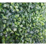 Sample Mixed Boxwood Artificial Vertical Garden (25cm x 25cm) - Designer Vertical Gardens artificial garden wall plants artificial green wall australia