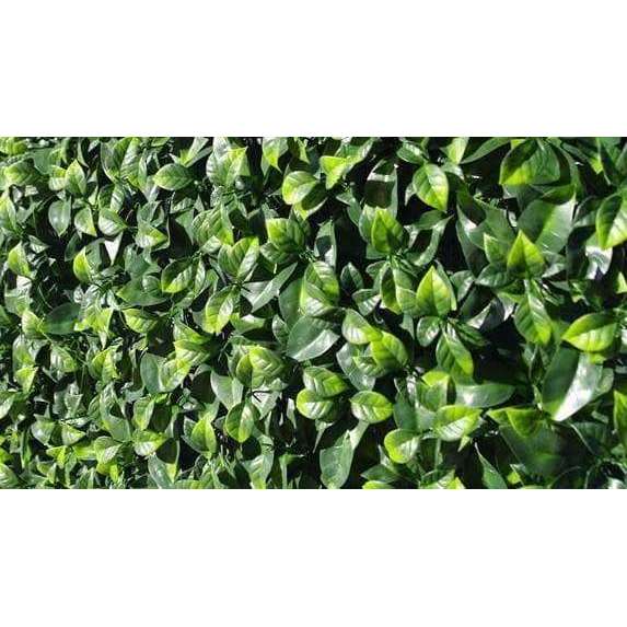 Sample - Myrtle Leaf Artificial Hedge Panel (25cm x 25cm) - Designer Vertical Gardens artificial garden wall plants artificial green wall australia