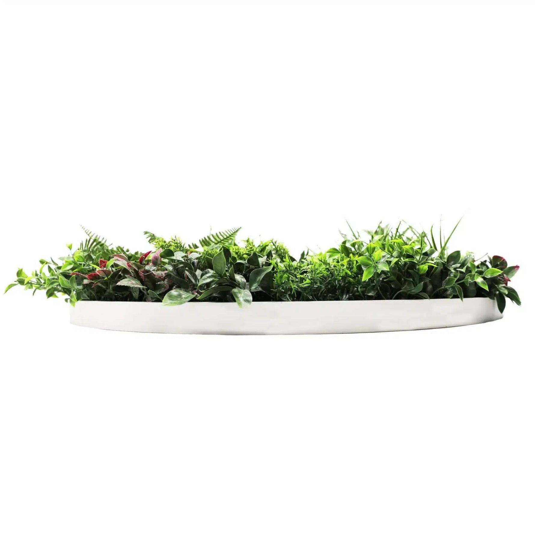 Slimline Artificial Green Wall Disc Art 100cm Country Fern UV Resistant (White) - Designer Vertical Gardens artificial garden wall plants artificial green wall australia