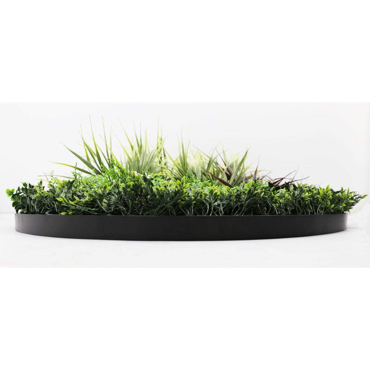 Slimline Artificial Green Wall Disc Art 100cm Grassy Fern UV Resistant (Black) - Designer Vertical Gardens Artificial vertical garden wall disc