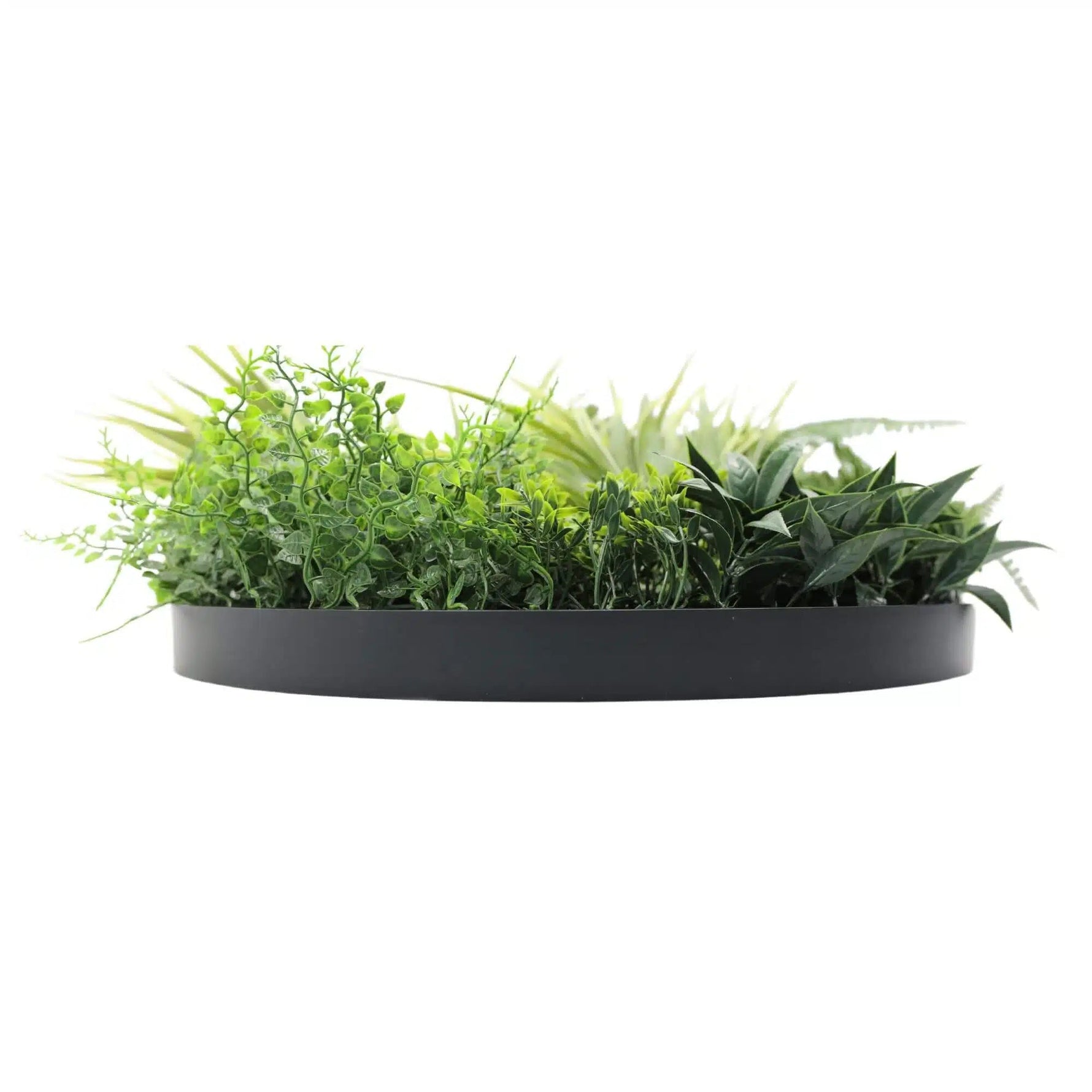 Slimline Artificial Green Wall Disc Art 50cm Grassy Fern Fields UV Resistant (Black) - Designer Vertical Gardens Artificial vertical garden wall disc