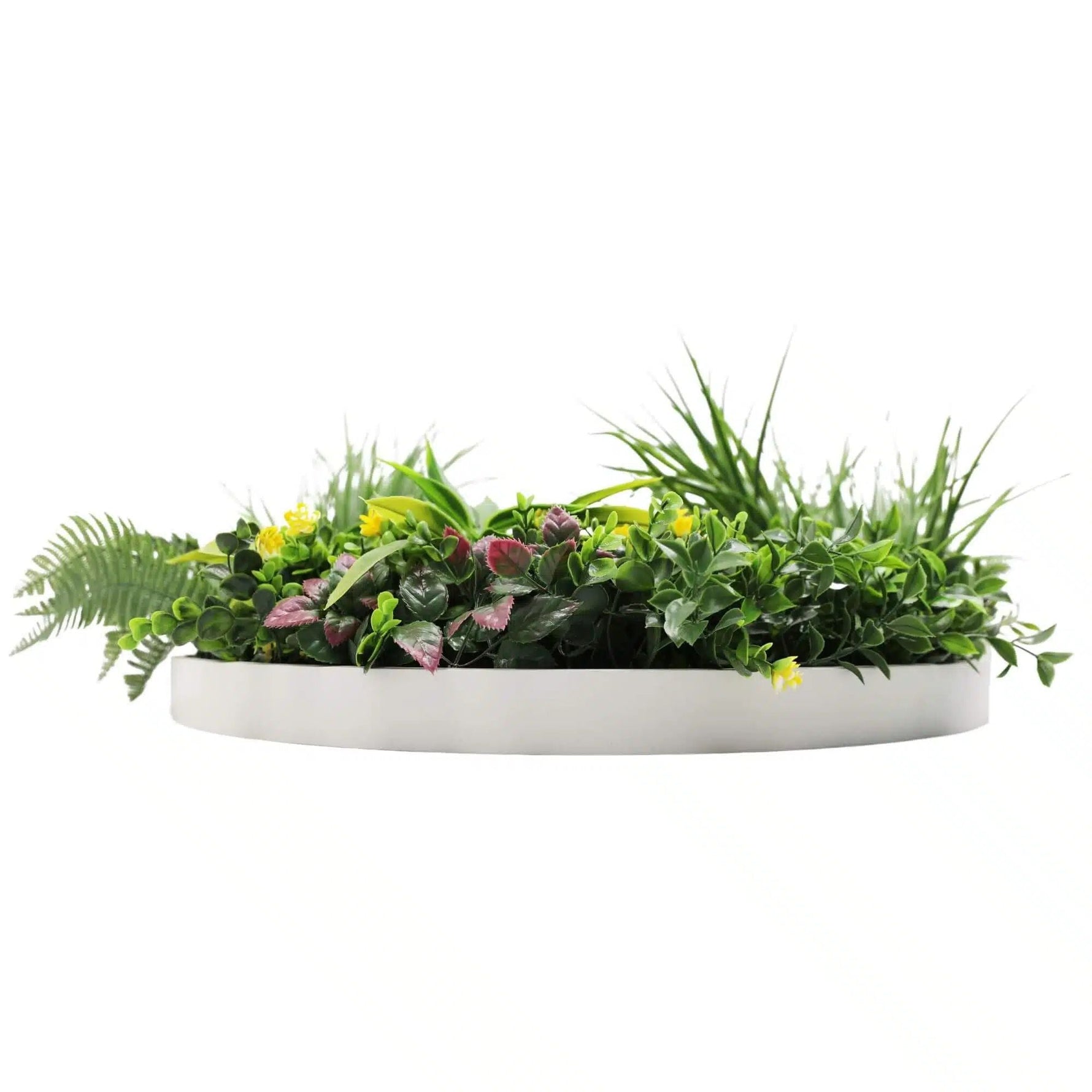 Slimline Artificial Green Wall Disc Art 60cm Country Fern UV Resistant (White) - Designer Vertical Gardens Artificial vertical garden wall disc