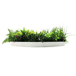 Slimline Artificial Green Wall Disc Art 80cm Country Fern UV Resistant (White) - Designer Vertical Gardens Artificial vertical garden wall disc