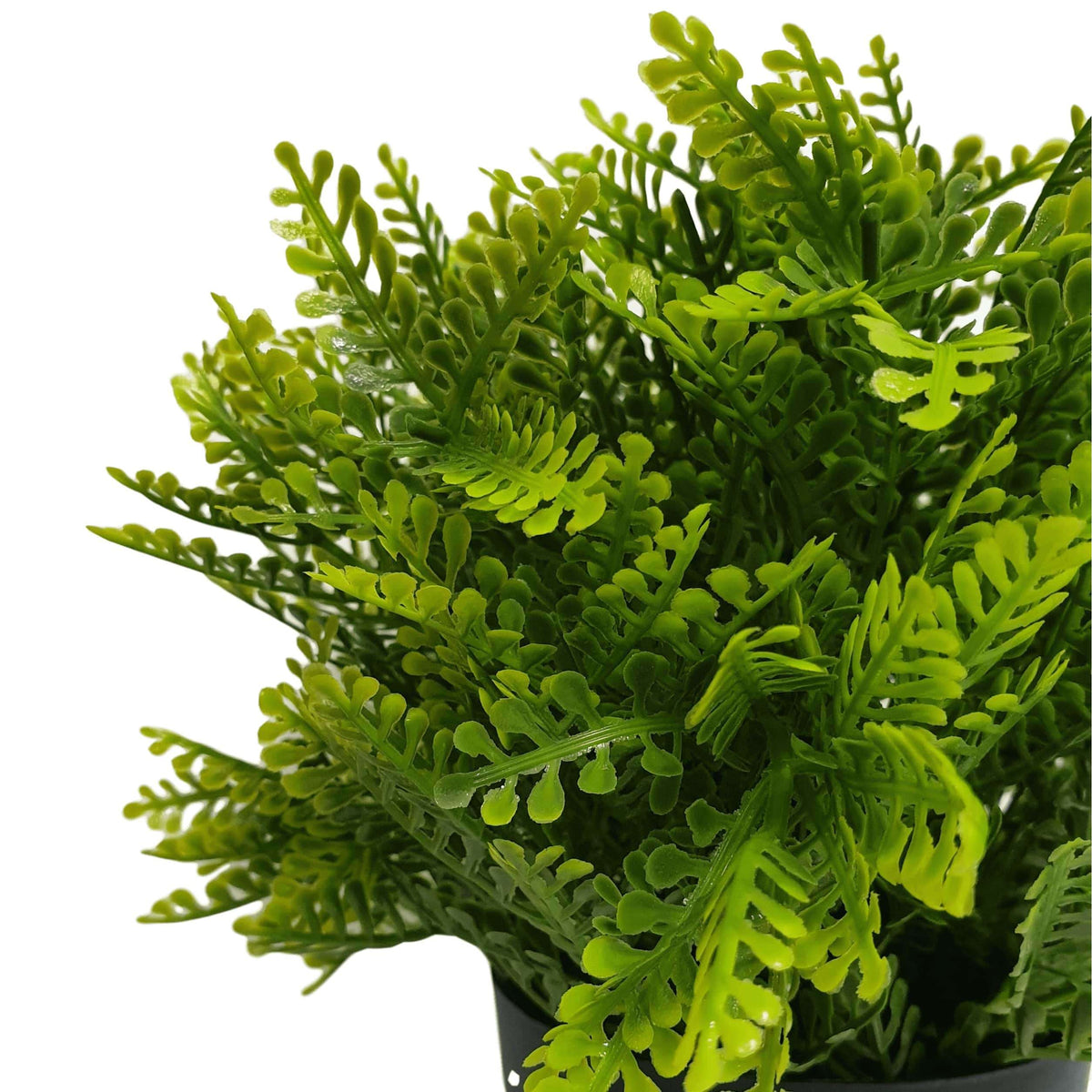 Small Potted Artificial Mimosa Fern UV Resistant 20cm - Designer Vertical Gardens artificial garden wall plants flowering